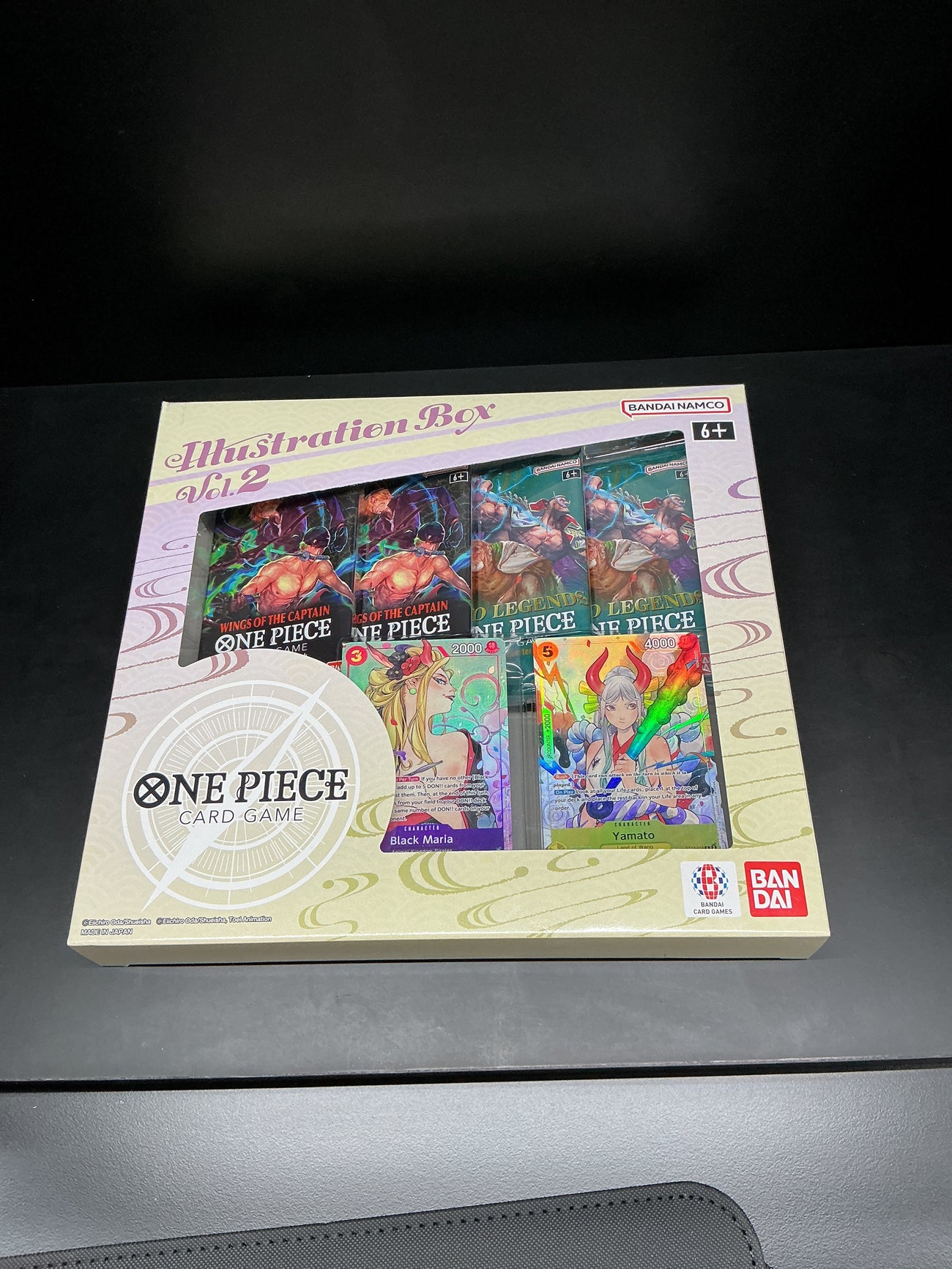 One piece illustration vol 2