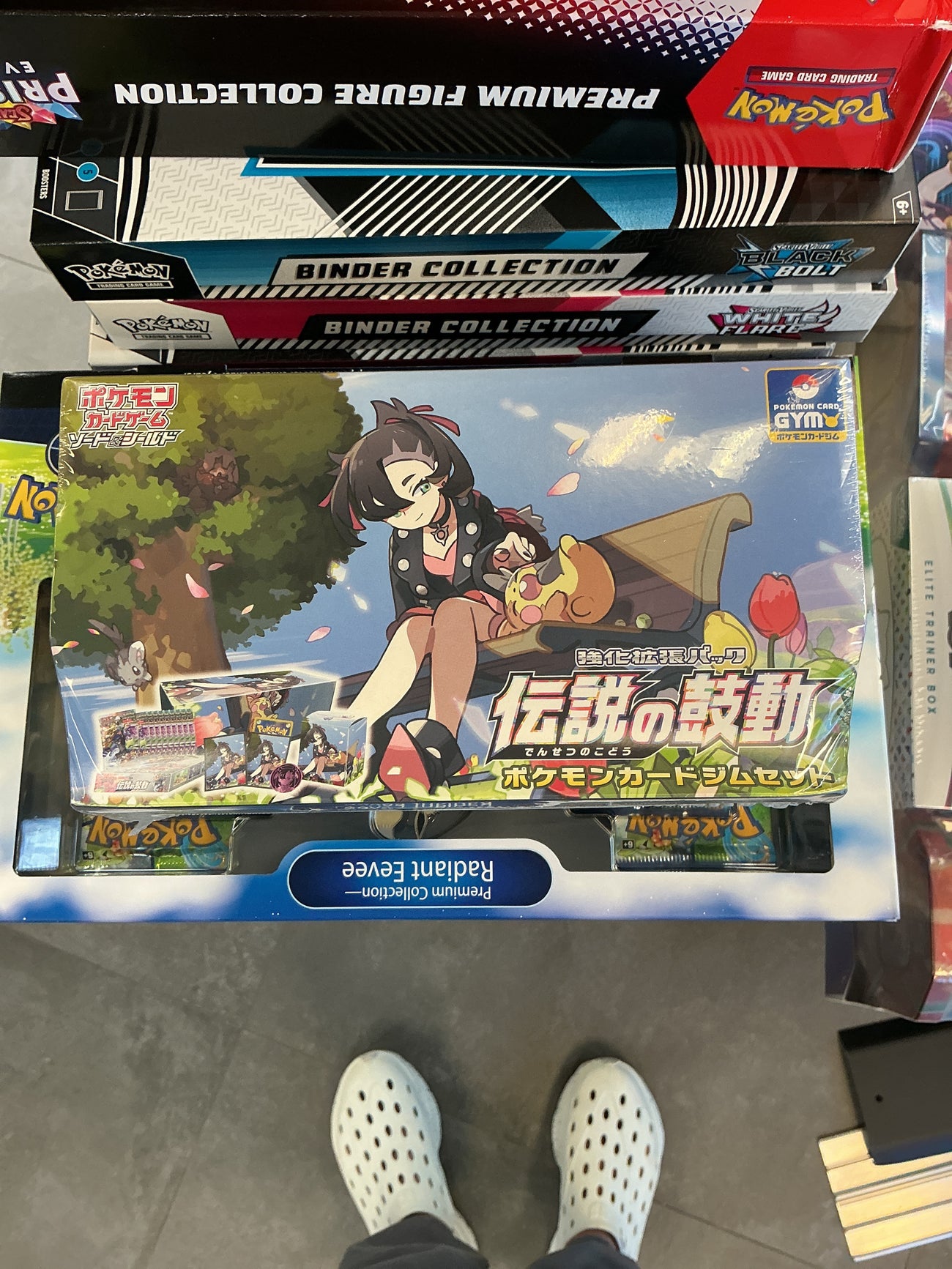 Pokémon Japan legendary gym set